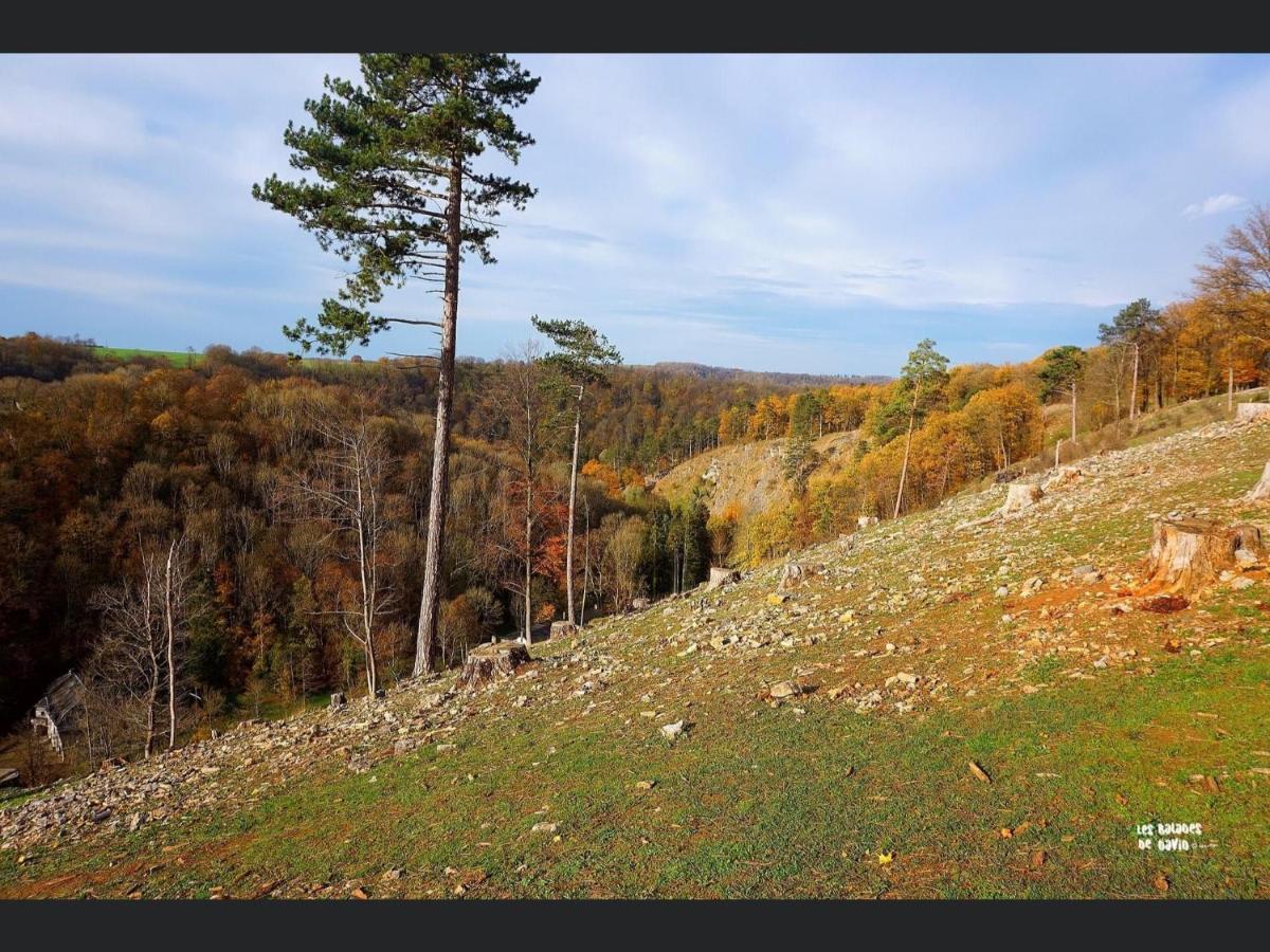 Enjoy Durbuy 2 Apartman Kültér fotó